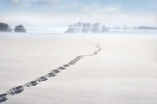 Passi sul lago d'inverno — Foto Stock