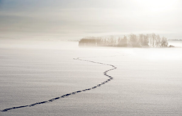 Foootsteps on lake in winter