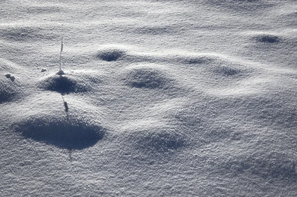 Snow surface with grass — Stock Photo, Image