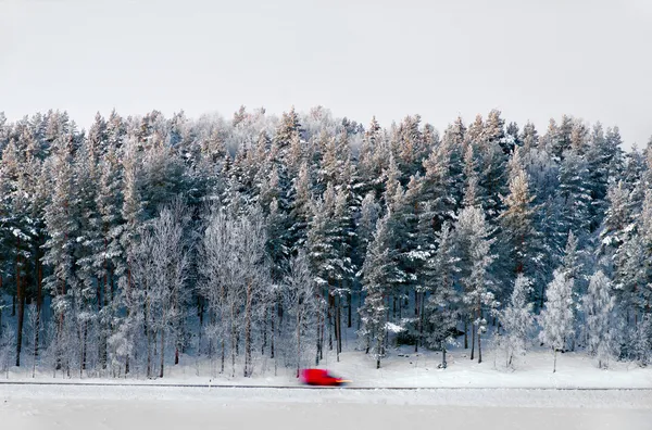 Red van on rural road — Stock Photo, Image