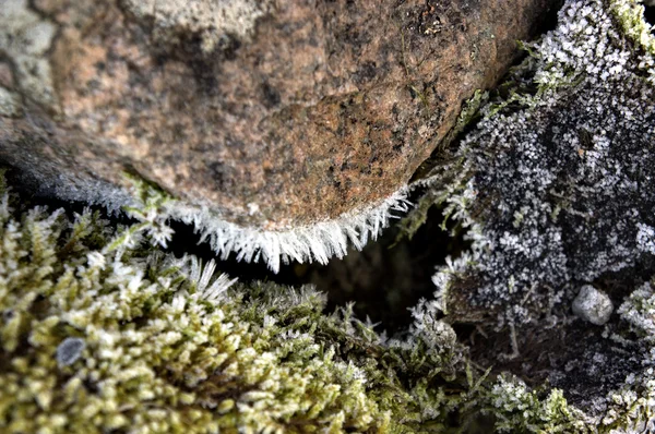Rimfrost frost på rock — Stockfoto