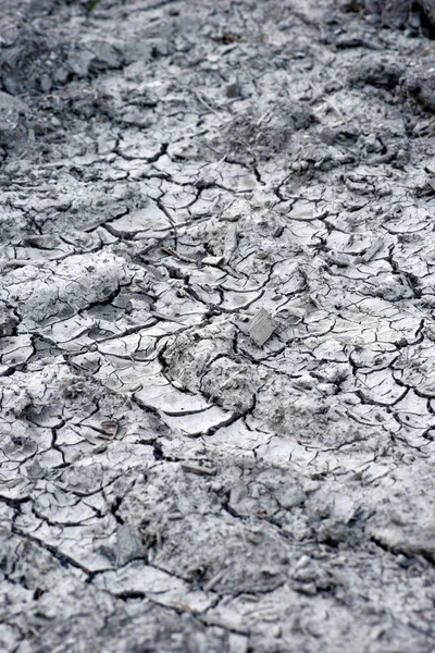 Dry cracked soil — Stock Photo, Image