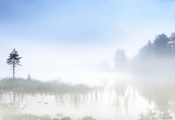 Foggy lake — Stock Photo, Image