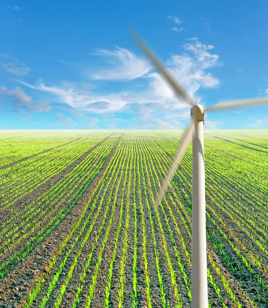 Fild with plants and wind power mill — Stock Photo, Image