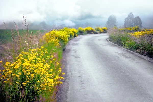 Landstraße im Sommer — Stockfoto