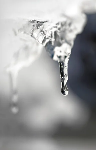 Ghiacciolo con goccia d'acqua — Foto Stock