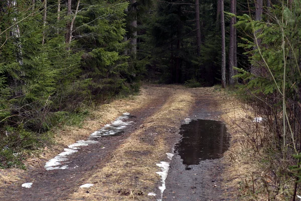 dirt road with puddle