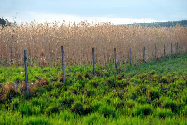 Zaun im Feld — Stockfoto