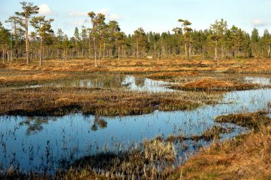 Swedish swamp clipart