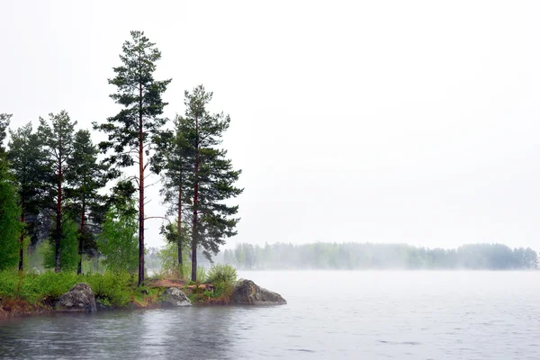 Zee met conifer bomen in de mist — Stockfoto