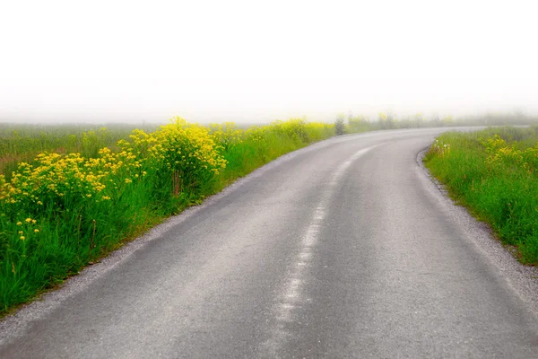 黄色い花を持つ国の道路 — ストック写真