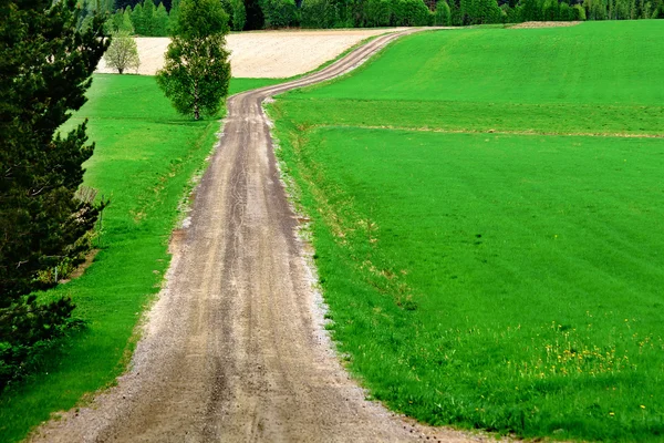 Kırsalda yol — Stok fotoğraf