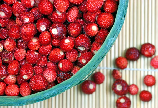 新鲜野生草莓 — 图库照片