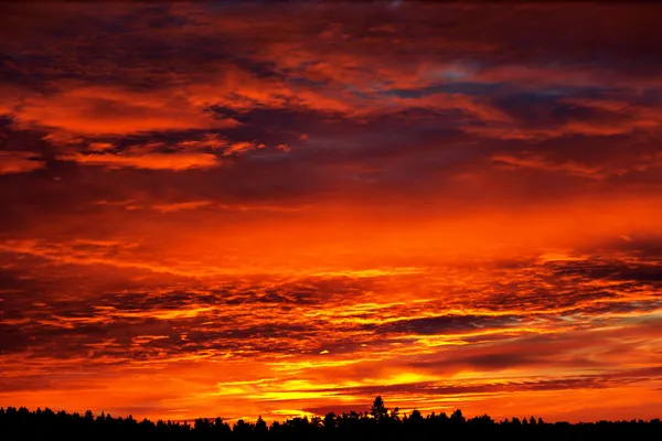 Cielo colorido — Foto de Stock