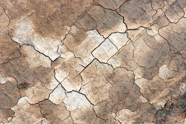 Cracked soil — Stock Photo, Image