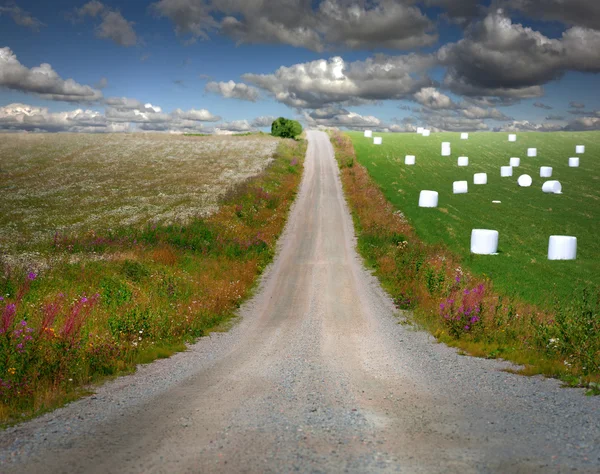 Route de campagne dans le paysage rural — Photo