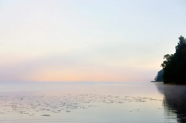 Jezioro mglisty poranek — Zdjęcie stockowe
