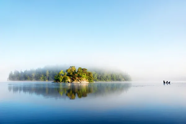 Island on foggy morning — Stock Photo, Image
