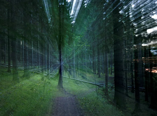 Bosque verde borroso — Foto de Stock