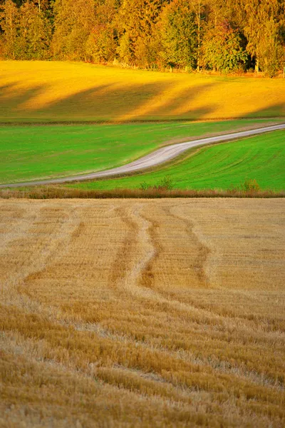 Pole ve venkovských podzimní krajina — Stock fotografie