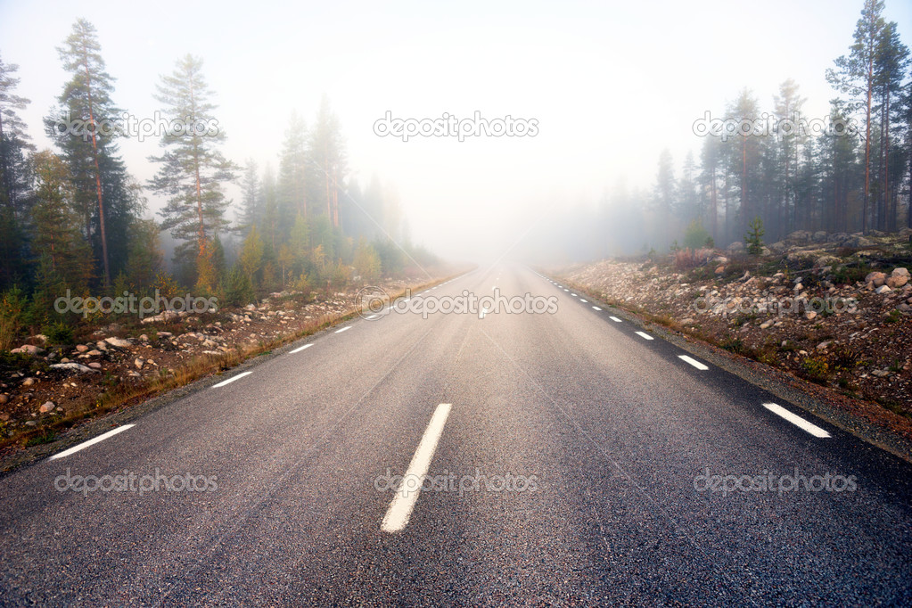 asphalt road on foggy morning