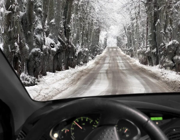 Avenue in snow — Stock Photo, Image