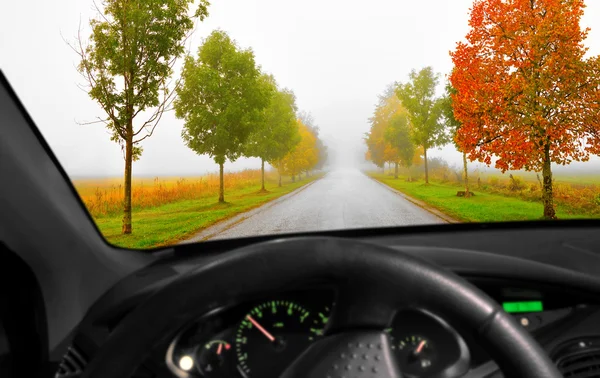 Avenue in autumn — Stock Photo, Image