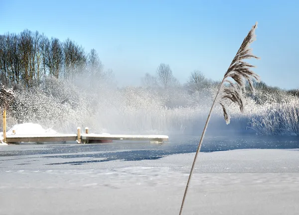 Molo in lago in inverno — Foto Stock