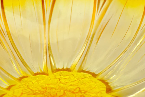 Flower shaped glass — Stock Photo, Image