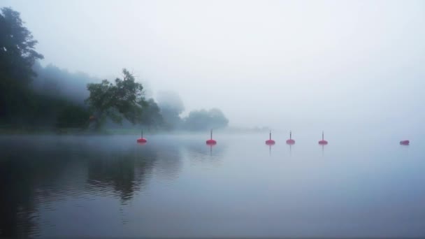 Nebel am See — Stockvideo