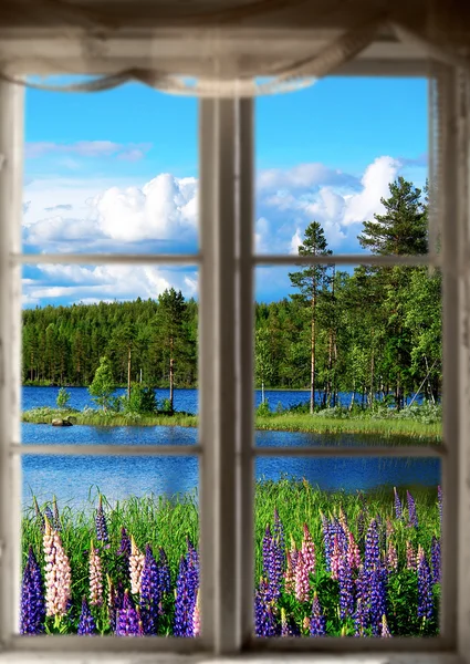 Scandinavian summer landscape — Stock Photo, Image