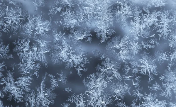 Ice crystals on glass — Stock Photo, Image
