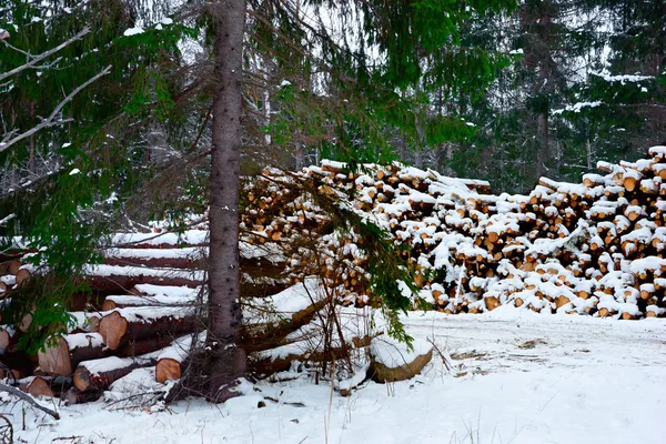 Stapel hout — Stockfoto