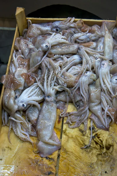 Calamares en venta — Foto de Stock