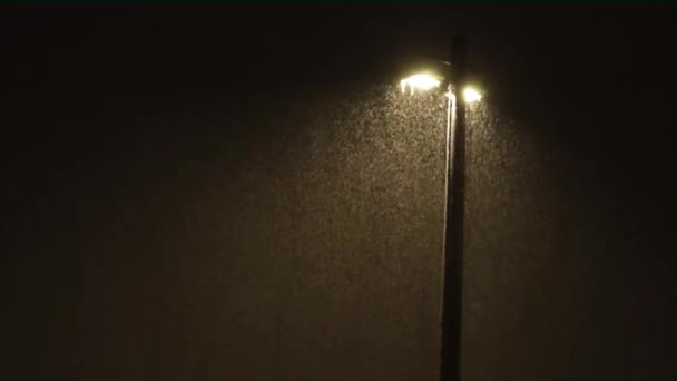 Lamppost en tormenta de nieve — Vídeo de stock