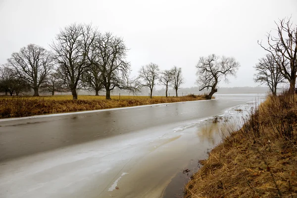 Gołe drzewa w mglisty krajobraz — Zdjęcie stockowe