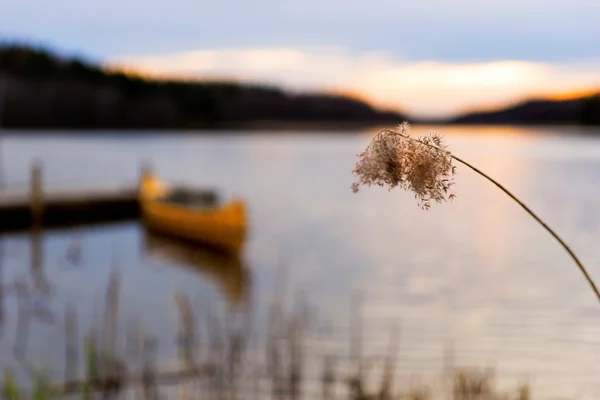 Blurred canadian canoe at sunset — Stock Photo, Image