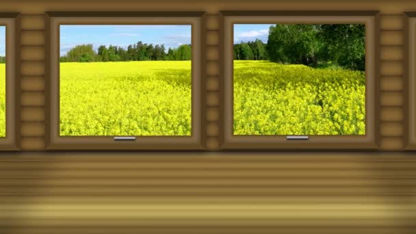 Vista Panorámica Sin Fisuras Desde Interior Carro Tren Vintage Movimiento — Vídeo de stock