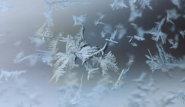 Eiskristalle Auf Glas Form Von Pflanzen Oder Blättern Mit Effekt — Stockfoto