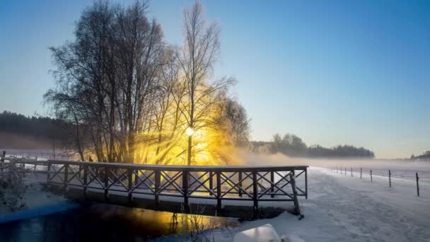 Representación Rayos Sol Filtrados Través Ramas Árboles Cubiertos Nieve Día — Vídeos de Stock