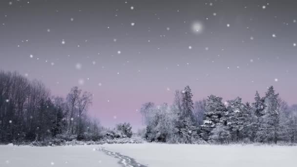 Panning Paisagem Inverno Scadinavian Com Céu Roxo Queda Neve — Vídeo de Stock