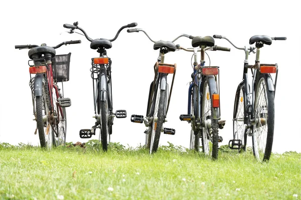 Rear View Bikes Parked Grass Row White Background — 스톡 사진