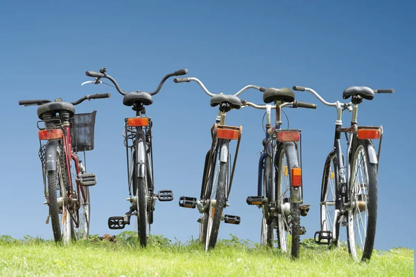 Vista Posteriore Biciclette Parcheggiate Erba Fila Sul Cielo Blu Brillante — Foto Stock