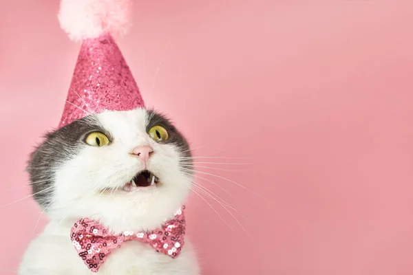 Zaskoczony Zagięty Kot Imprezowym Kapeluszu Urodzinowym Różowym Tle Przestrzeń Kopiowania — Zdjęcie stockowe