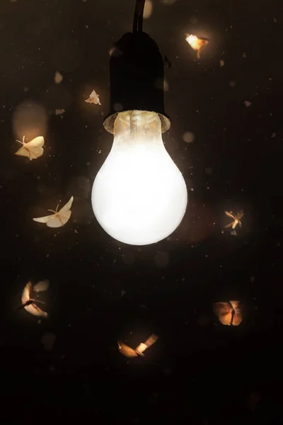 在黑暗的背景下 夜蛾飞向一盏老式灯的光芒 — 图库照片