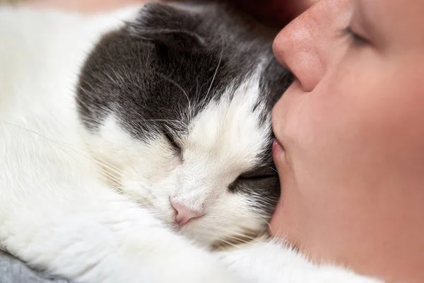 Mujer Besando Lindo Gato Dormido Tema Del Amor Por Las — Foto de Stock