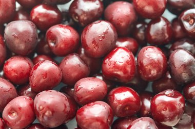 Su damlalarında olgun kiraz meyveleri, yakın plan..