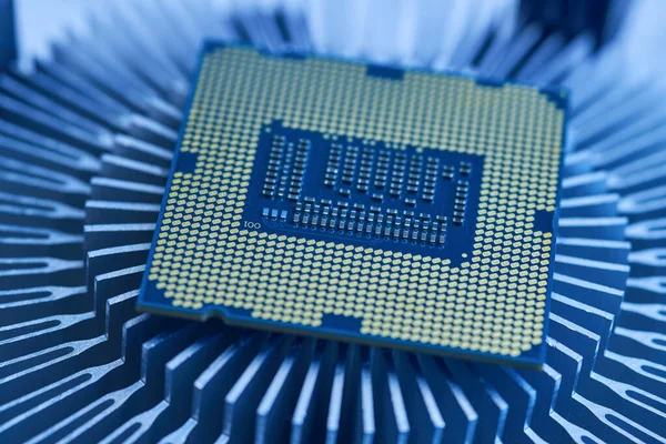 Processor on a computer, software elements, macro photo, close-up.