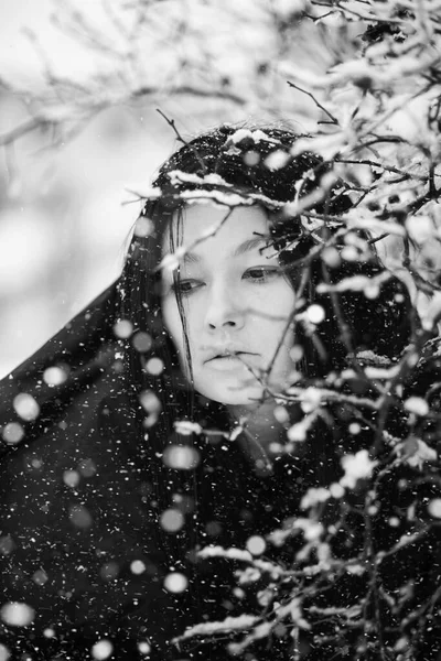 Μαύρο Και Άσπρο Πλάνο Της Νεαρής Μελαχρινής Γυναίκας Χιονισμένα Κλαδιά — Φωτογραφία Αρχείου