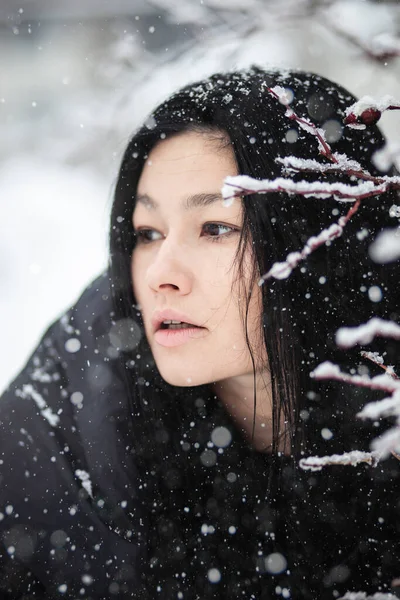 Elegant Model Looking Away Snowy Bush Twigs Foreground Royalty Free Stock Photos